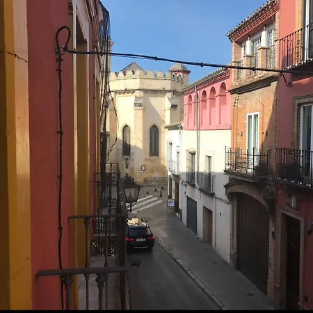 Apartment San Esteban Adg *